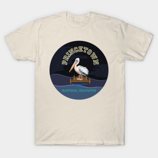 Pelicans watch T-Shirt